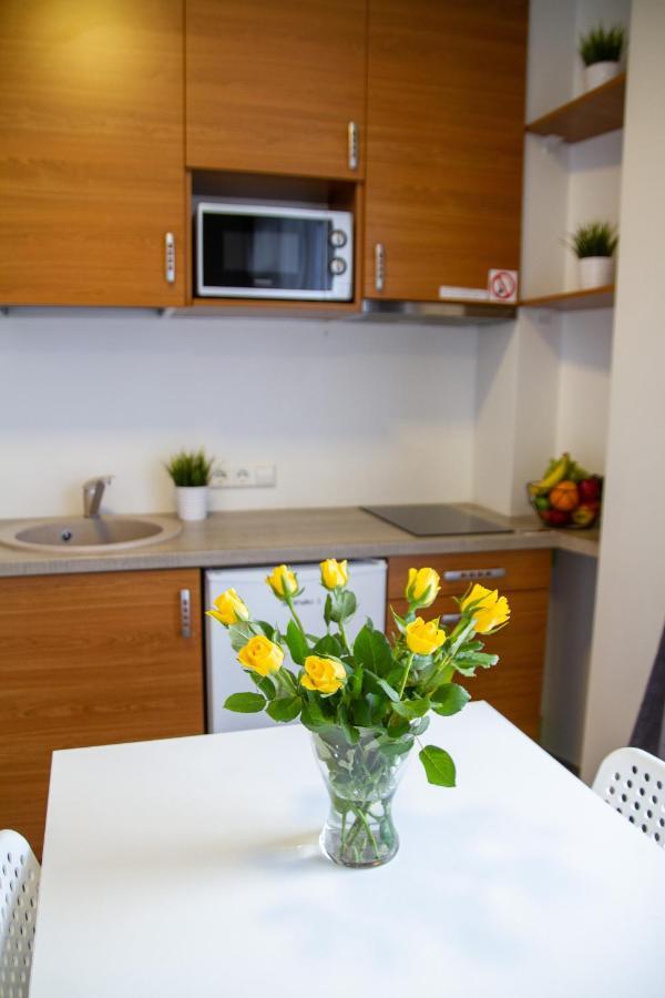 Sky Studio Near The Vilnius Center Екстериор снимка