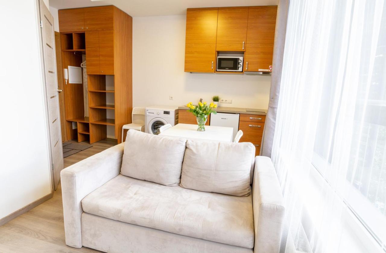 Sky Studio Near The Vilnius Center Екстериор снимка